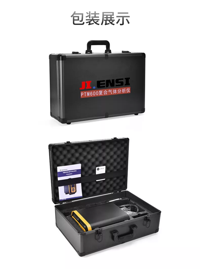 手提式复合型气体分析仪_15.jpg